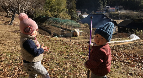 img20180719092328974564.jpg